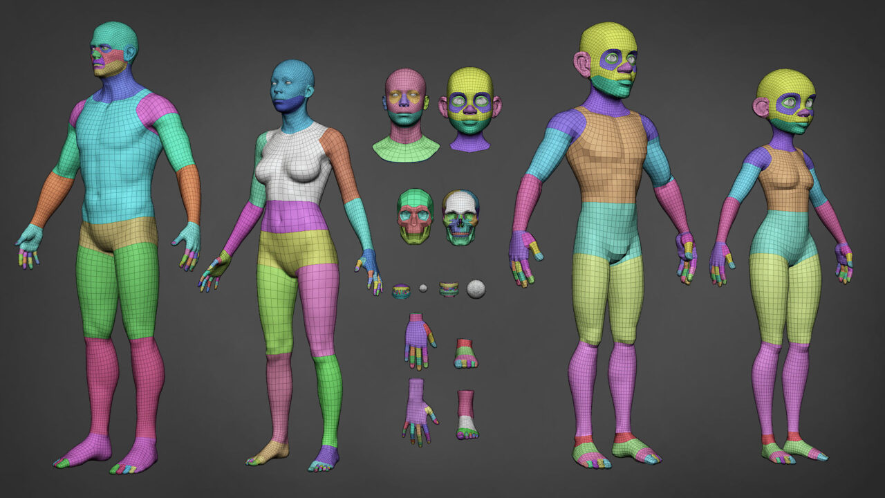 Human Base Meshes Asset Bundle