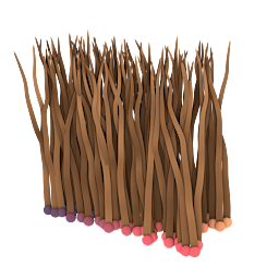 Curve Root